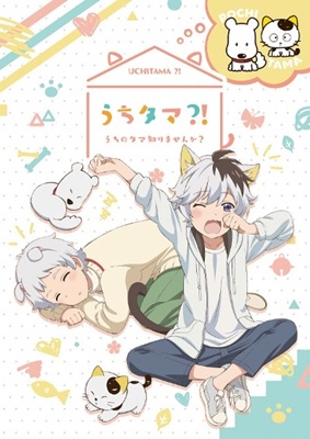 Uchi Tama?! Uchi No Tama Shirimasen Ka?